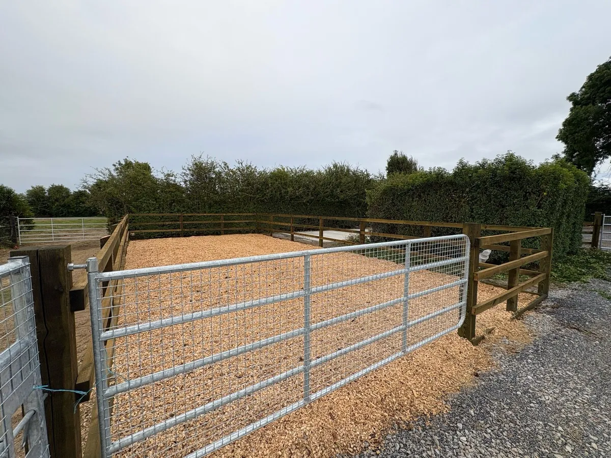 Turn out areas - Image 3