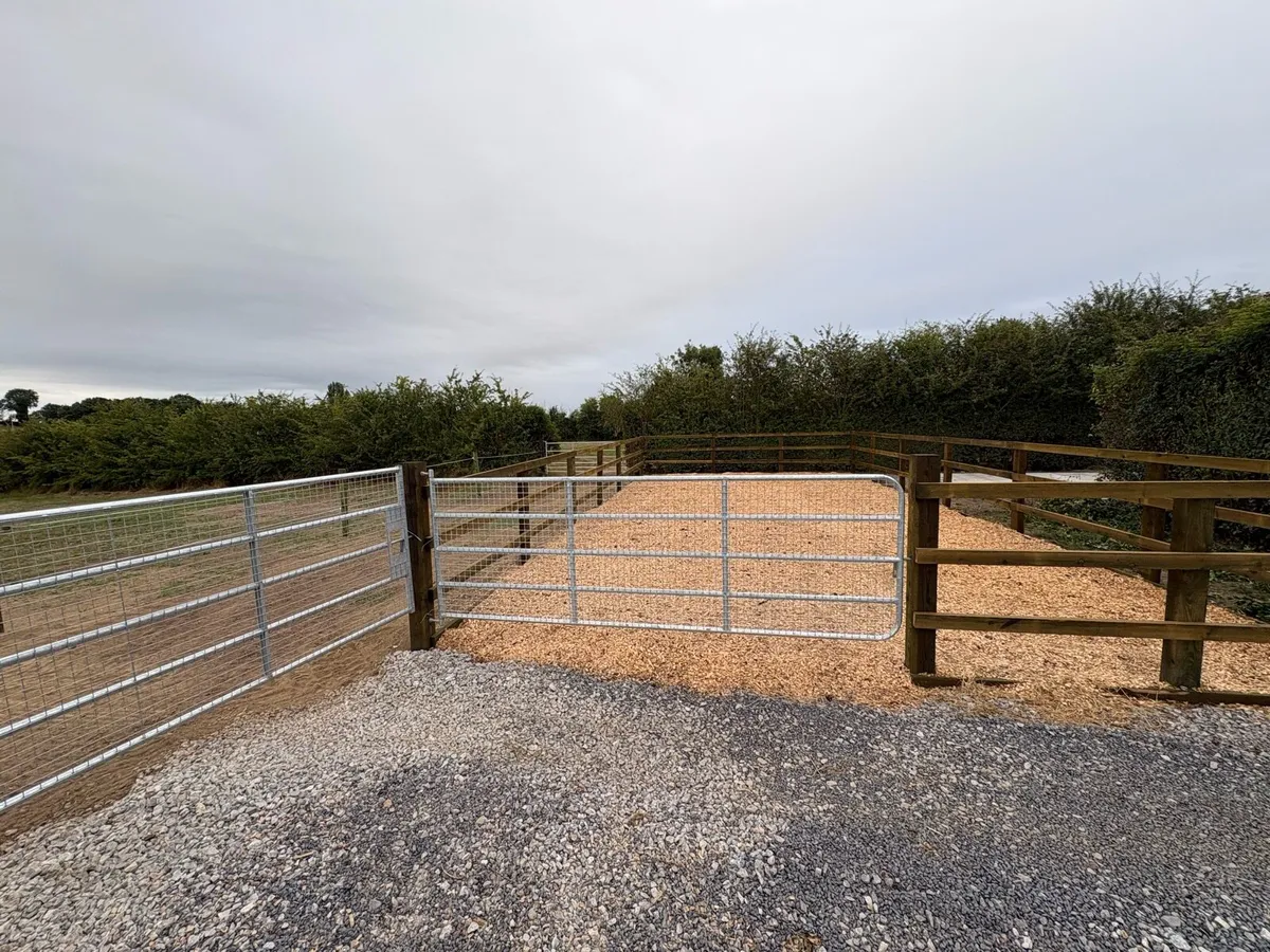 Turn out areas - Image 4