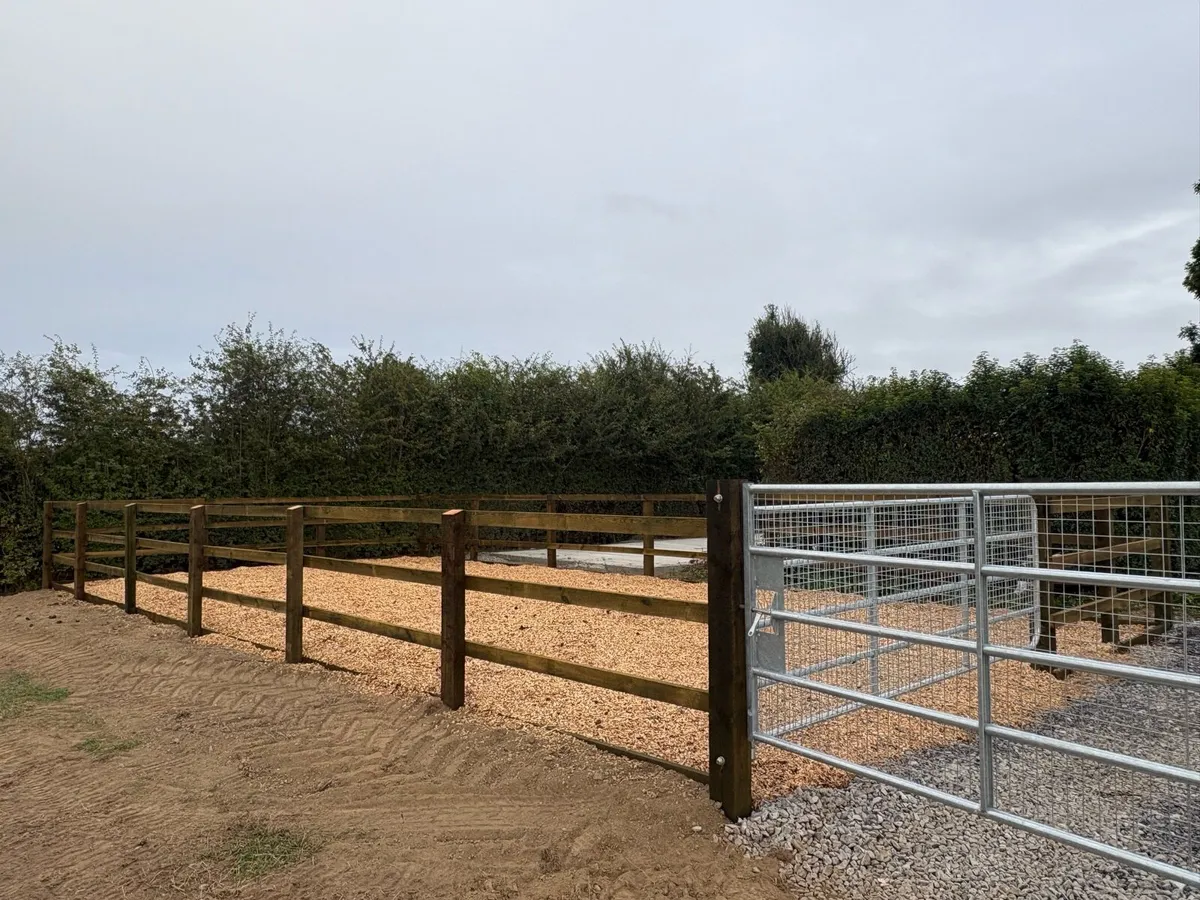 Turn out areas - Image 2