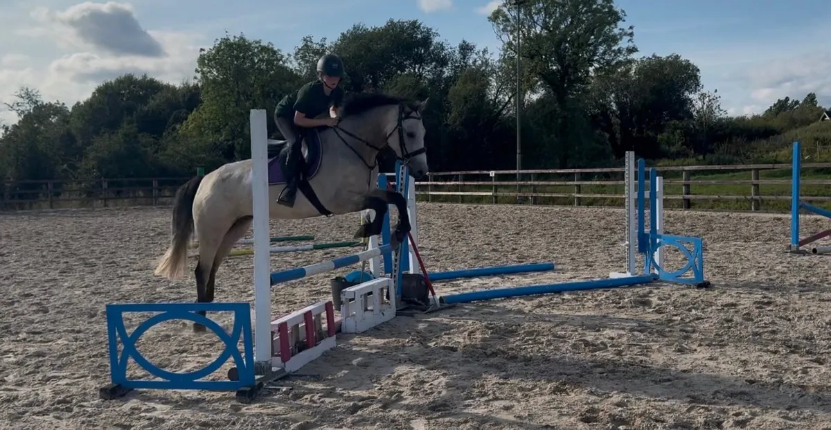Super all rounder - Image 4