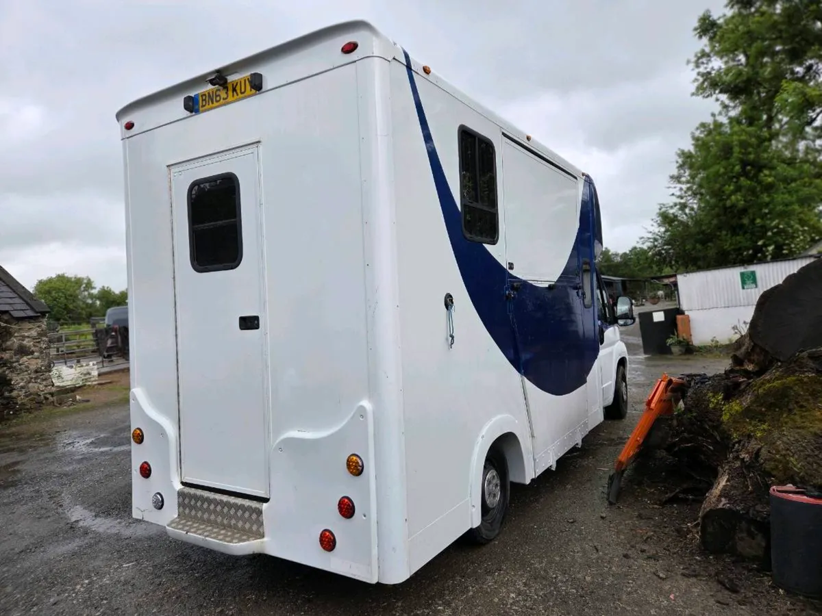 3.5t 2 horse van - Image 2