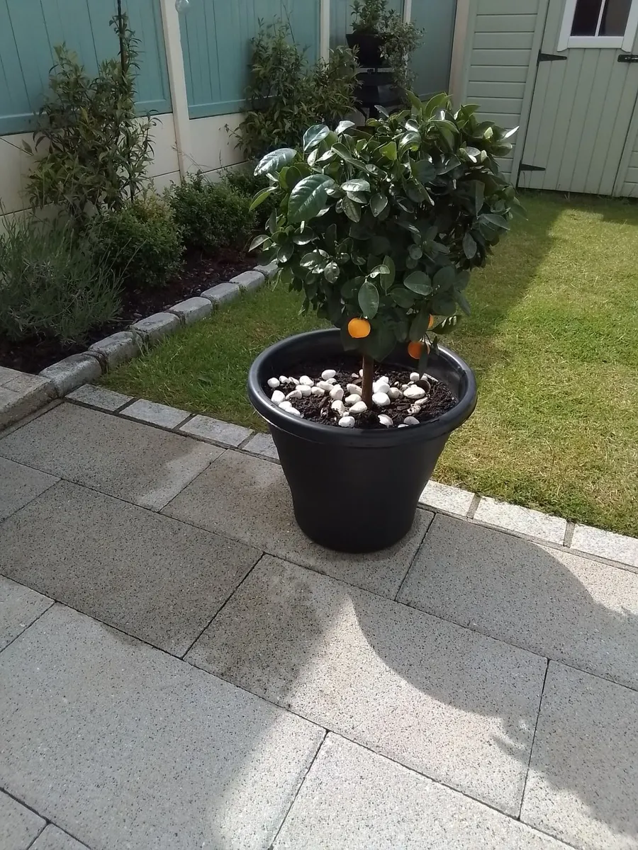 3ft orange planter
