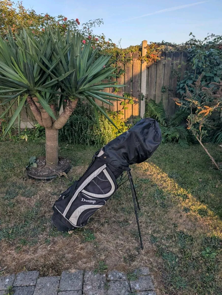 Cheap golf clubs will go tonight - Image 1