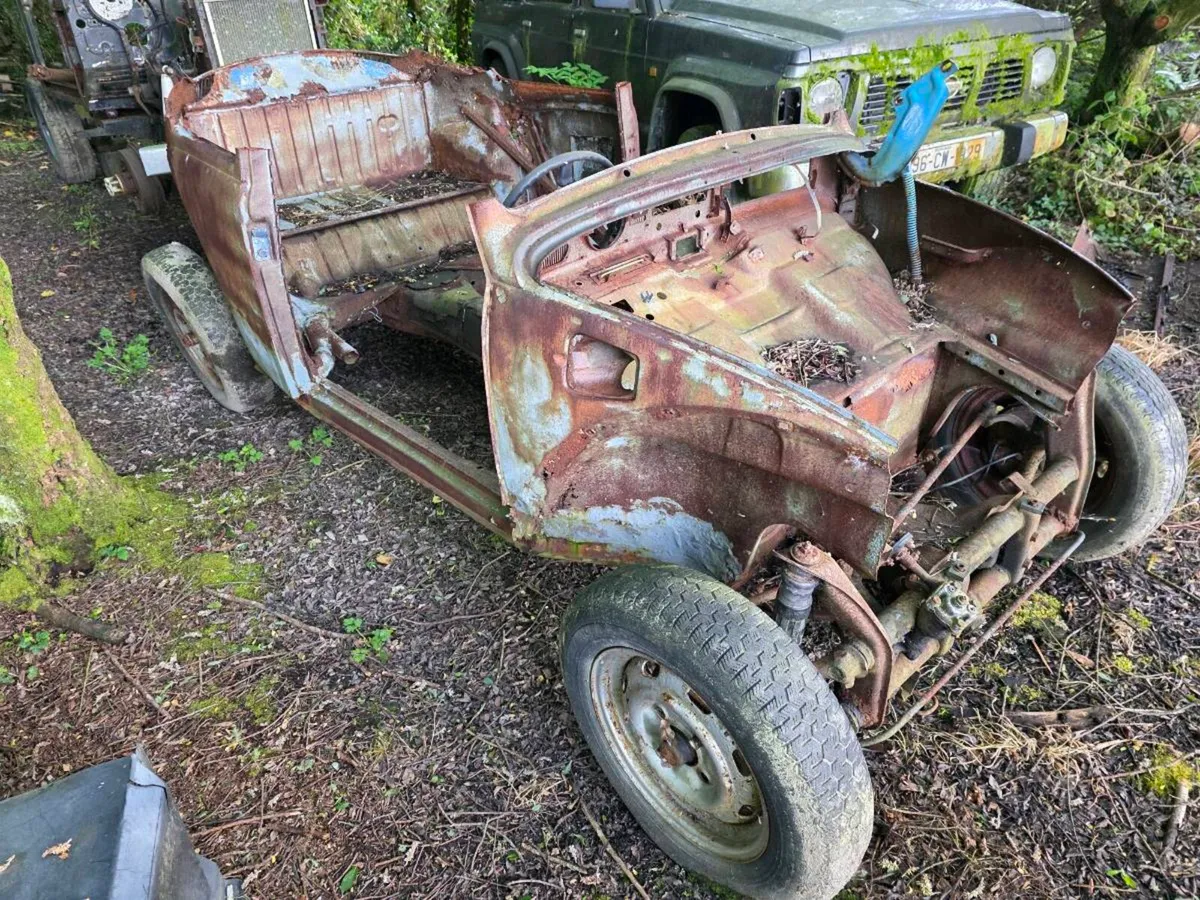 VW Beetle - Image 1