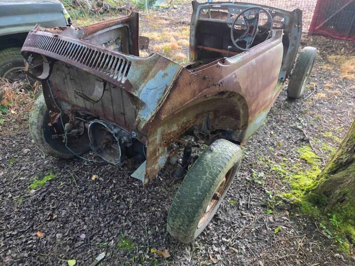 VW Beetle - Image 2