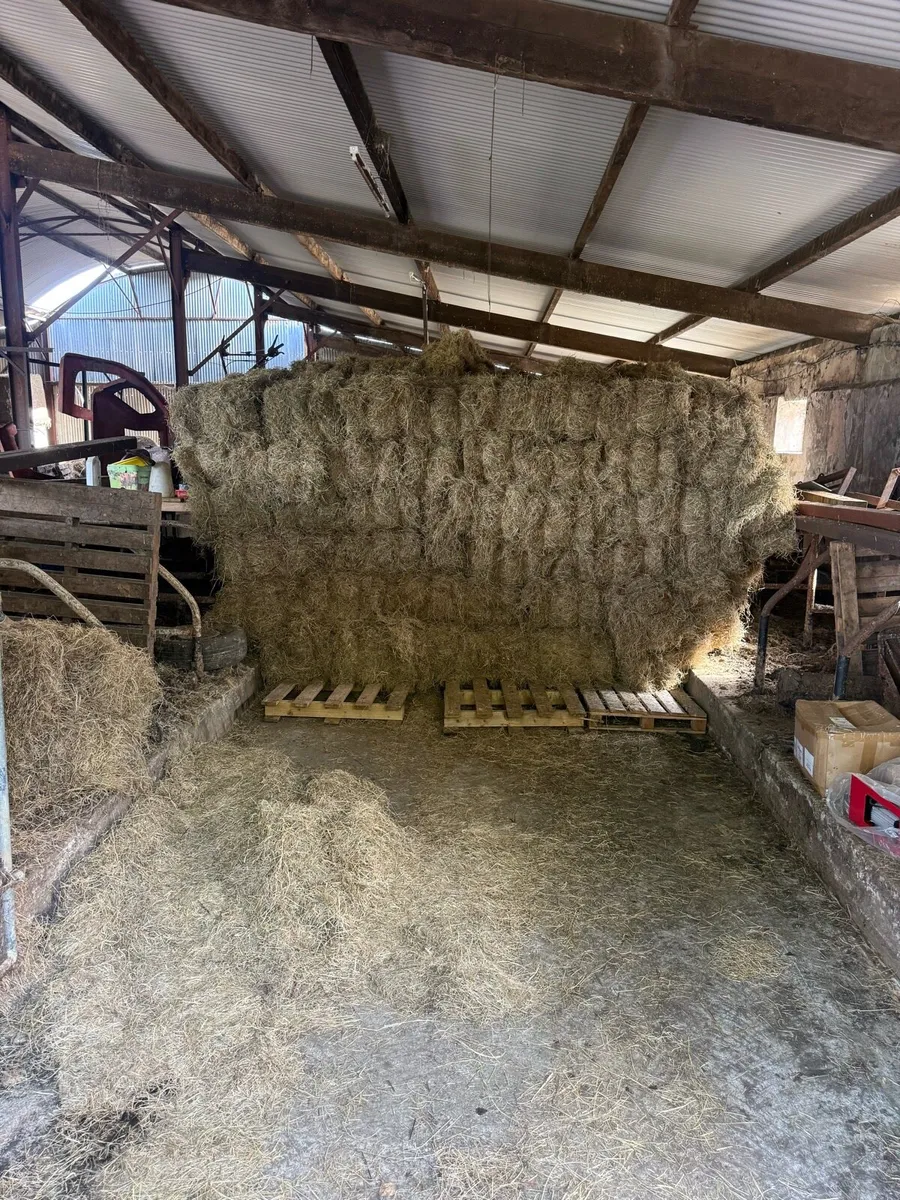 Hay round and square - Image 1