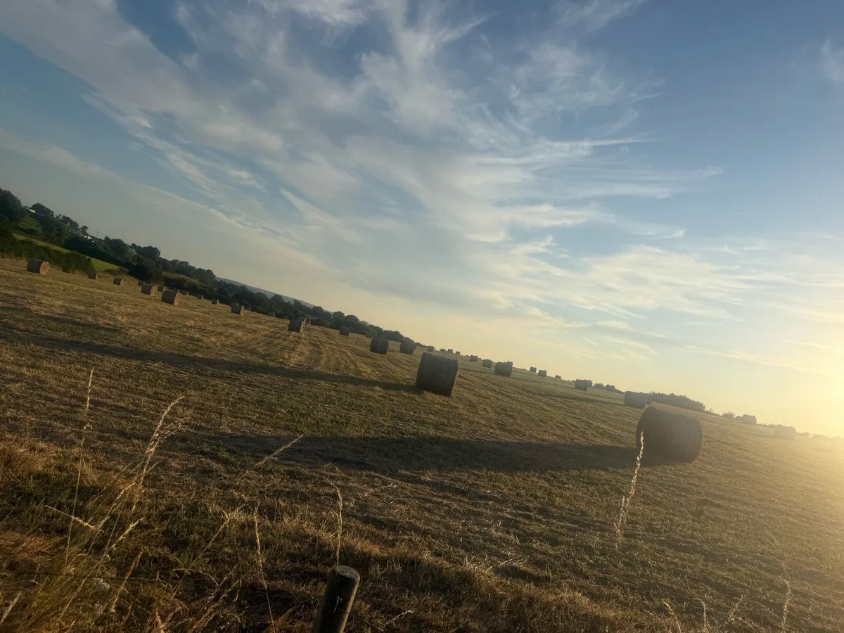 Hay round and square - Image 2