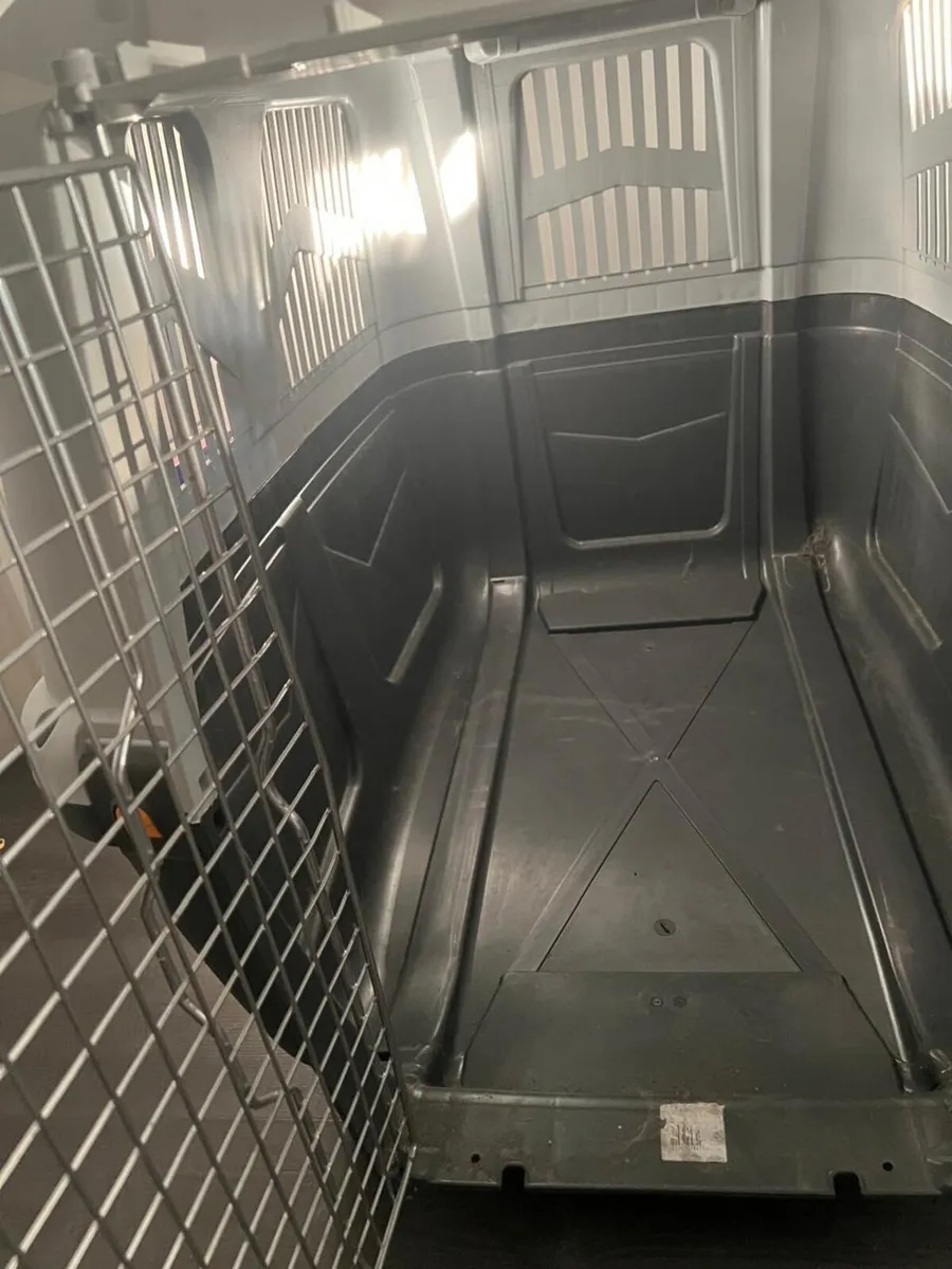 Skudo 6 IATA Dog Travel Crate Like New - Image 3