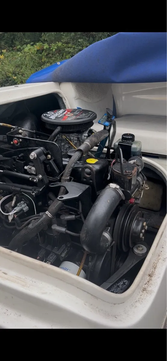 Bayliner 175 - Image 3