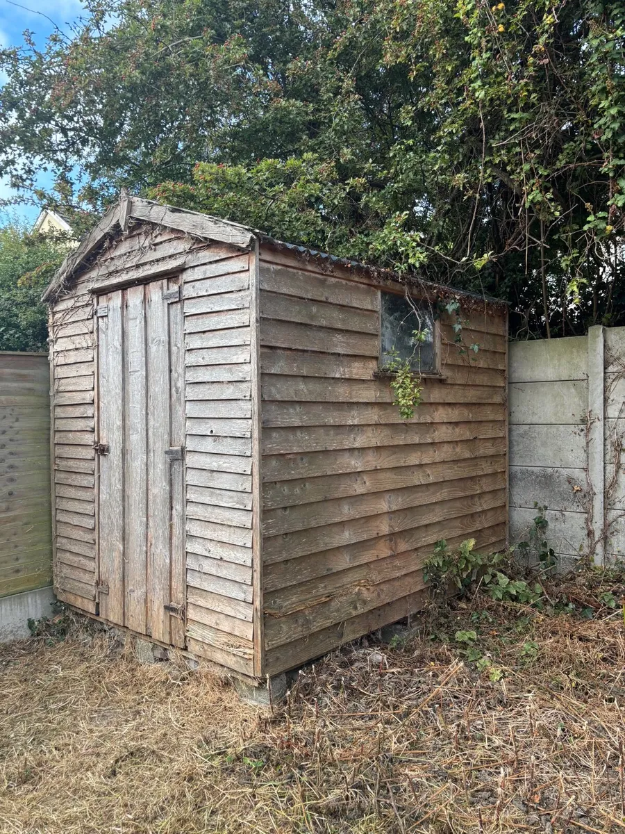 Garden shed FREE - Image 3