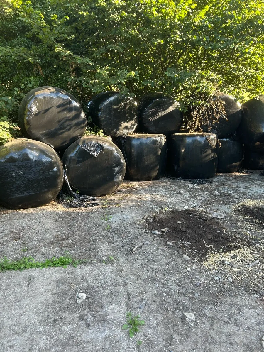 Haylage