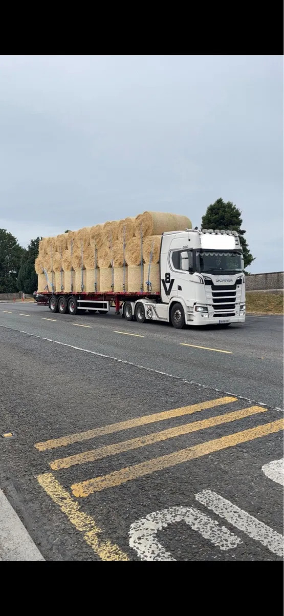 Straw bales for sale