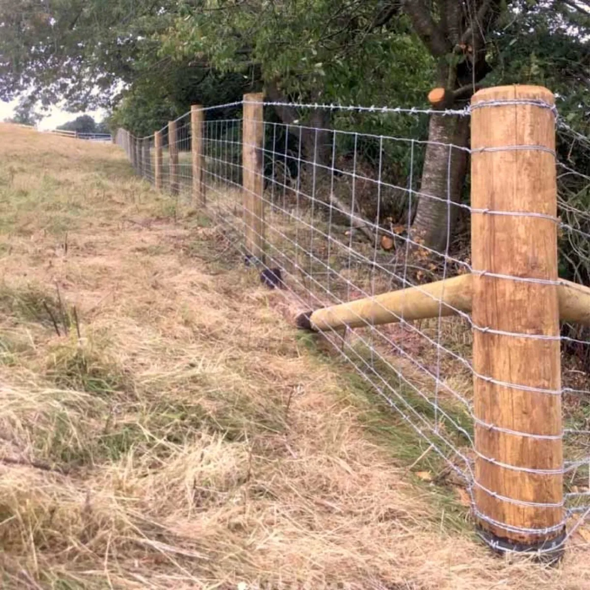 Fencing - Image 1