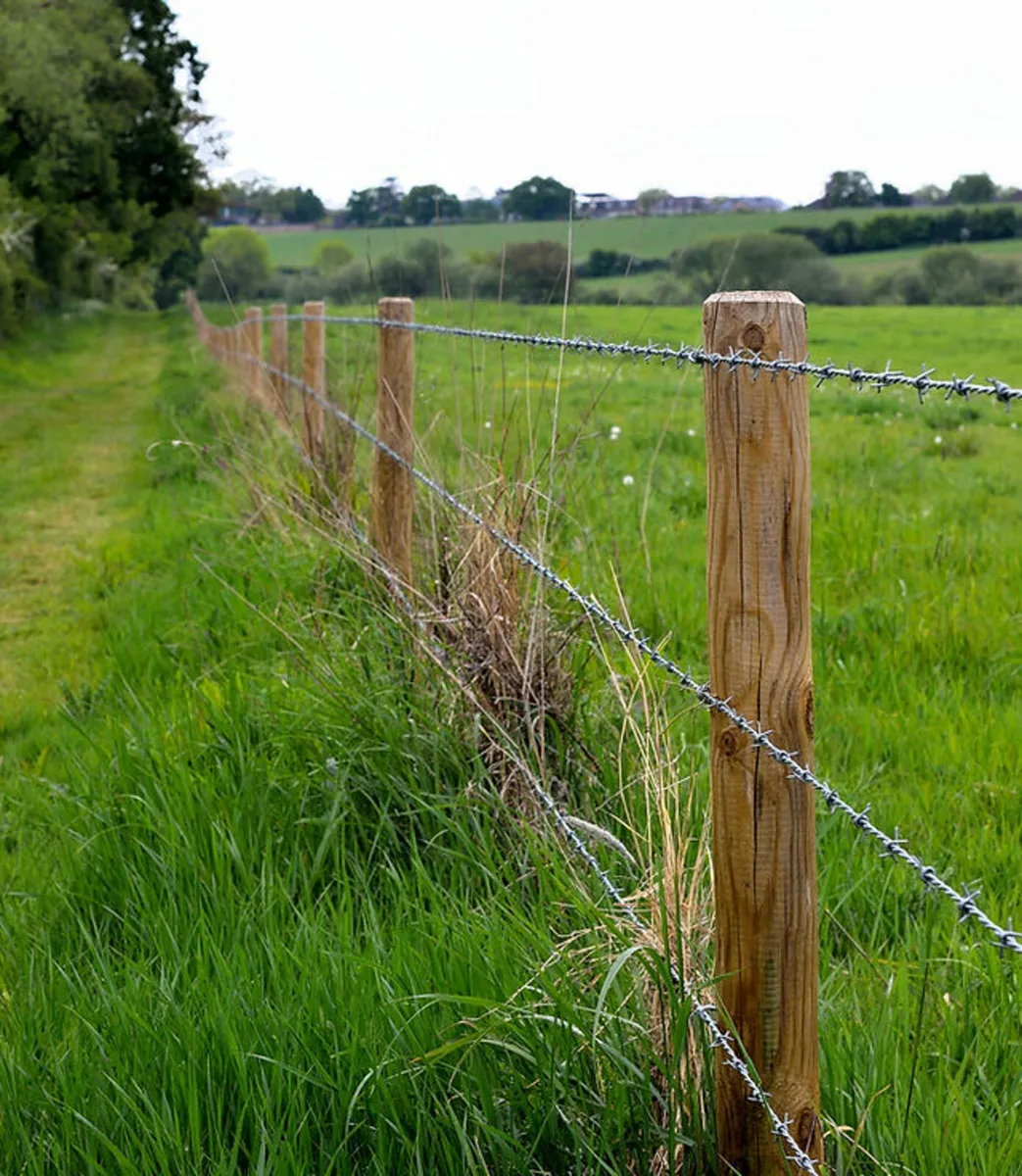 Fencing - Image 3