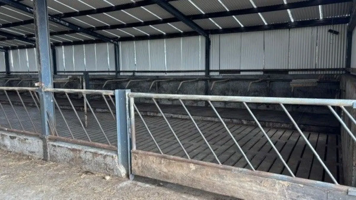 Diagonal Feed bariers - Image 2