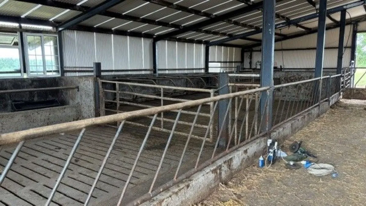 Diagonal Feed bariers - Image 3