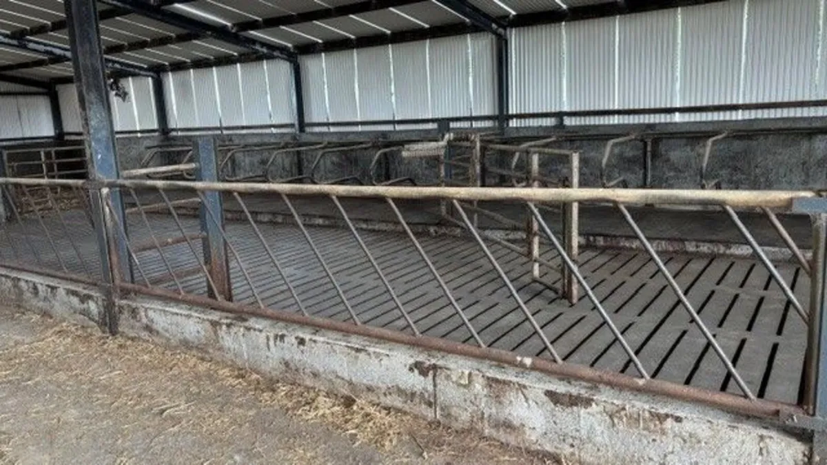Diagonal Feed bariers - Image 4