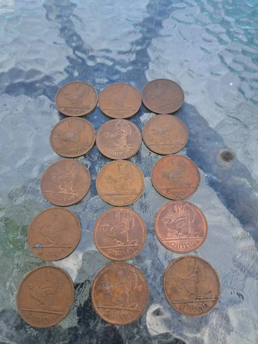 15 Old  pennies - Image 1