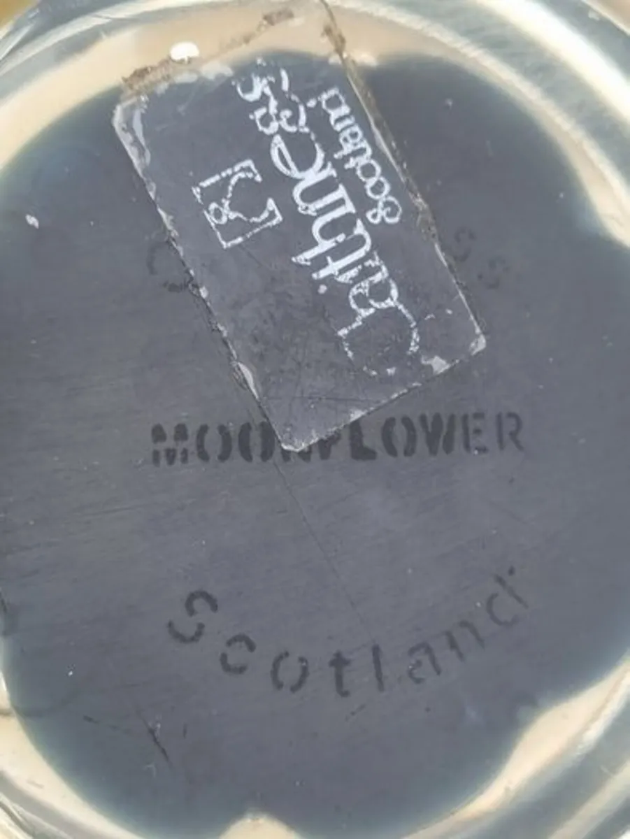 Caithness Glass Moonflower Paperweight - Image 4