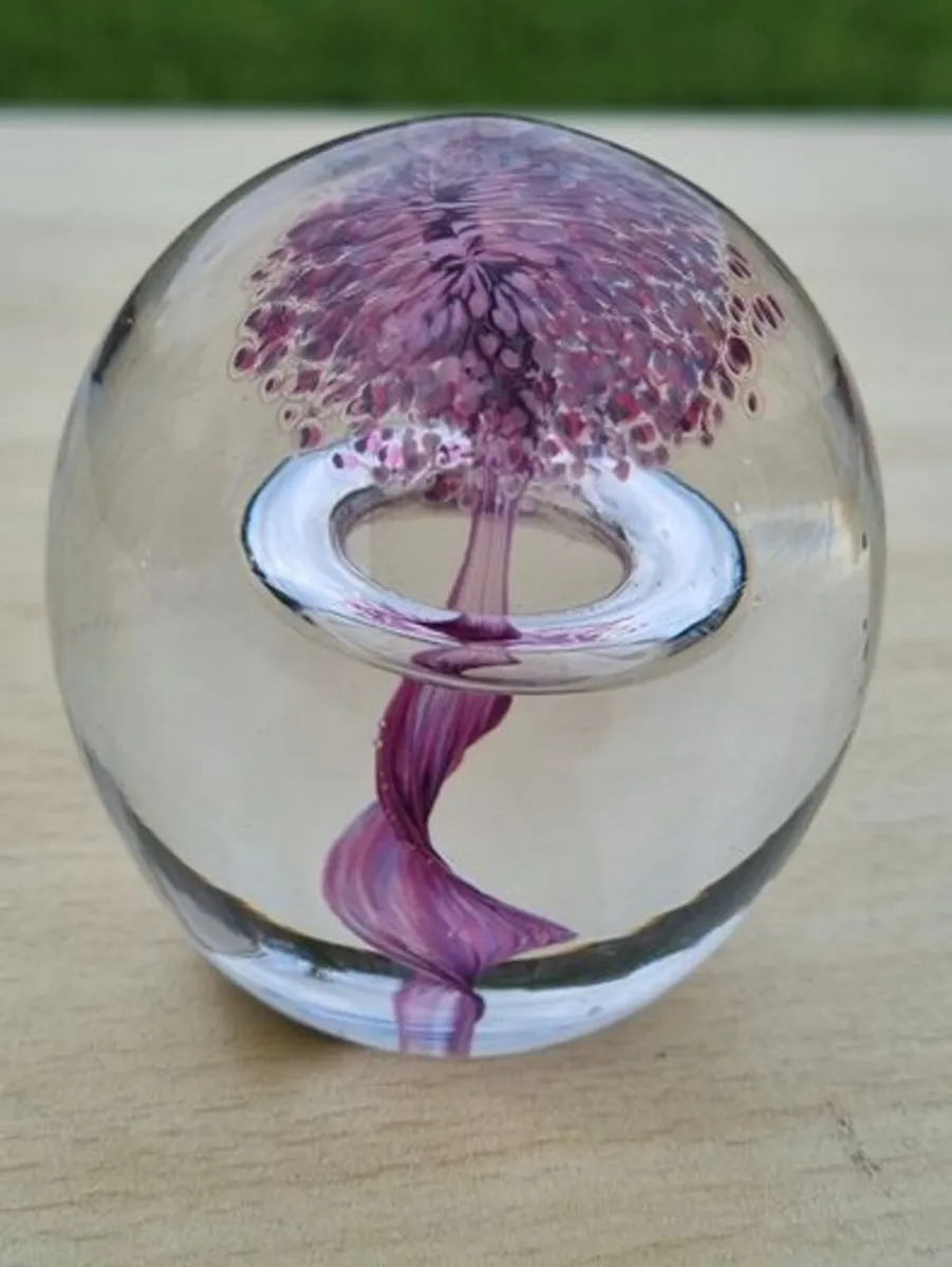 Glass paperweight by Jerpoint Glass - Image 3