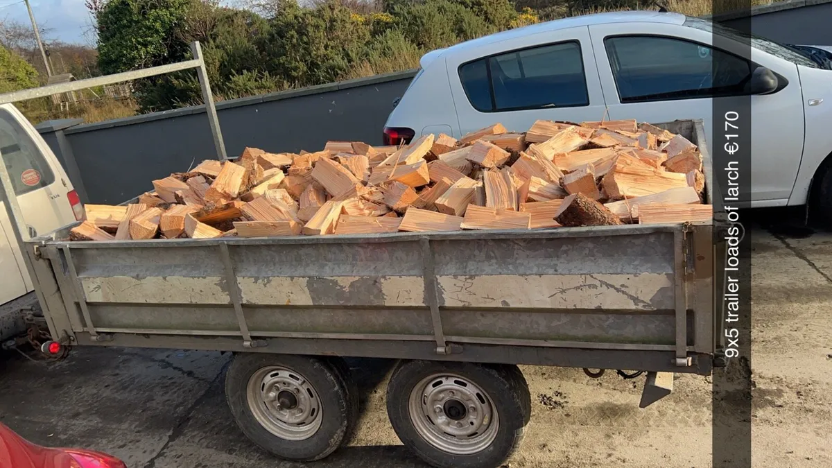 Firewood - Image 3