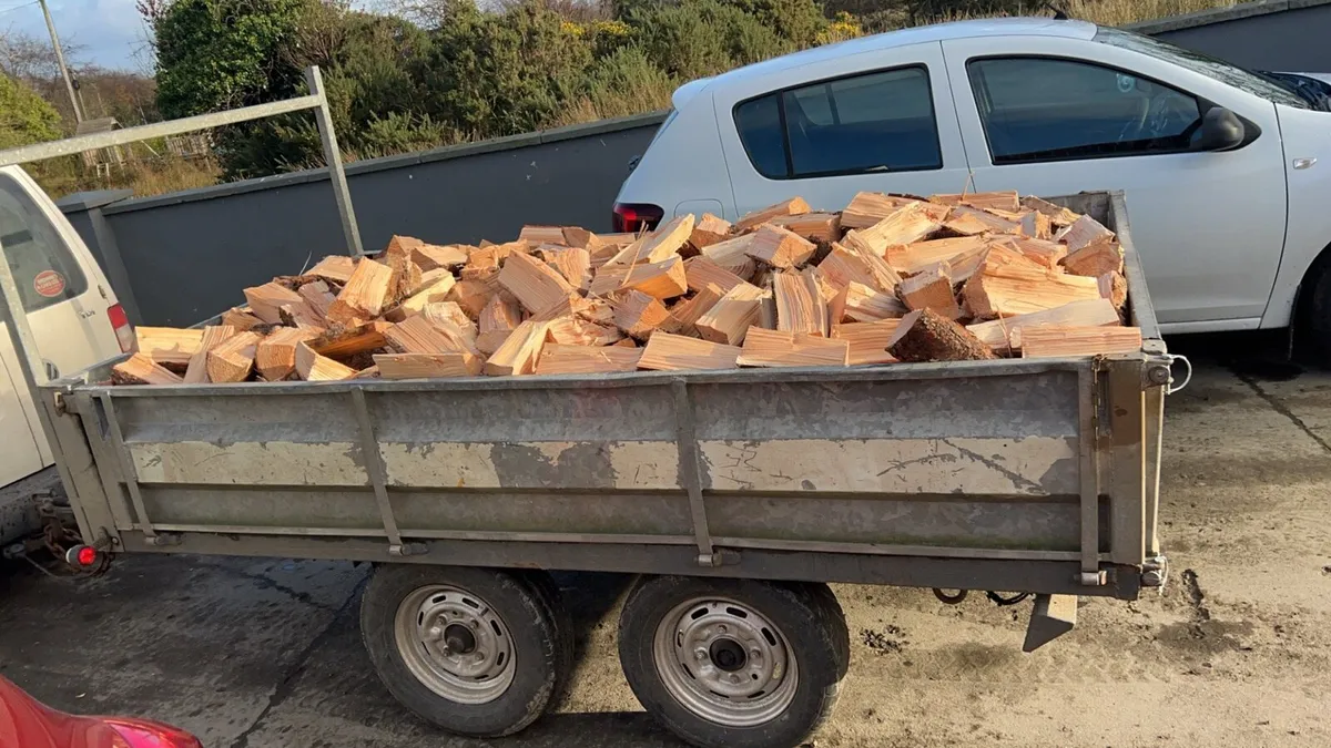 Firewood - Image 4