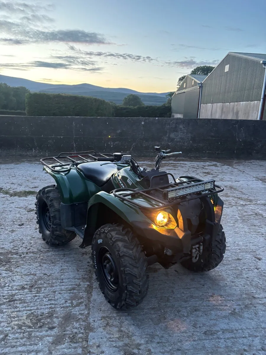 Grizzly 450 (need gone) - Image 3