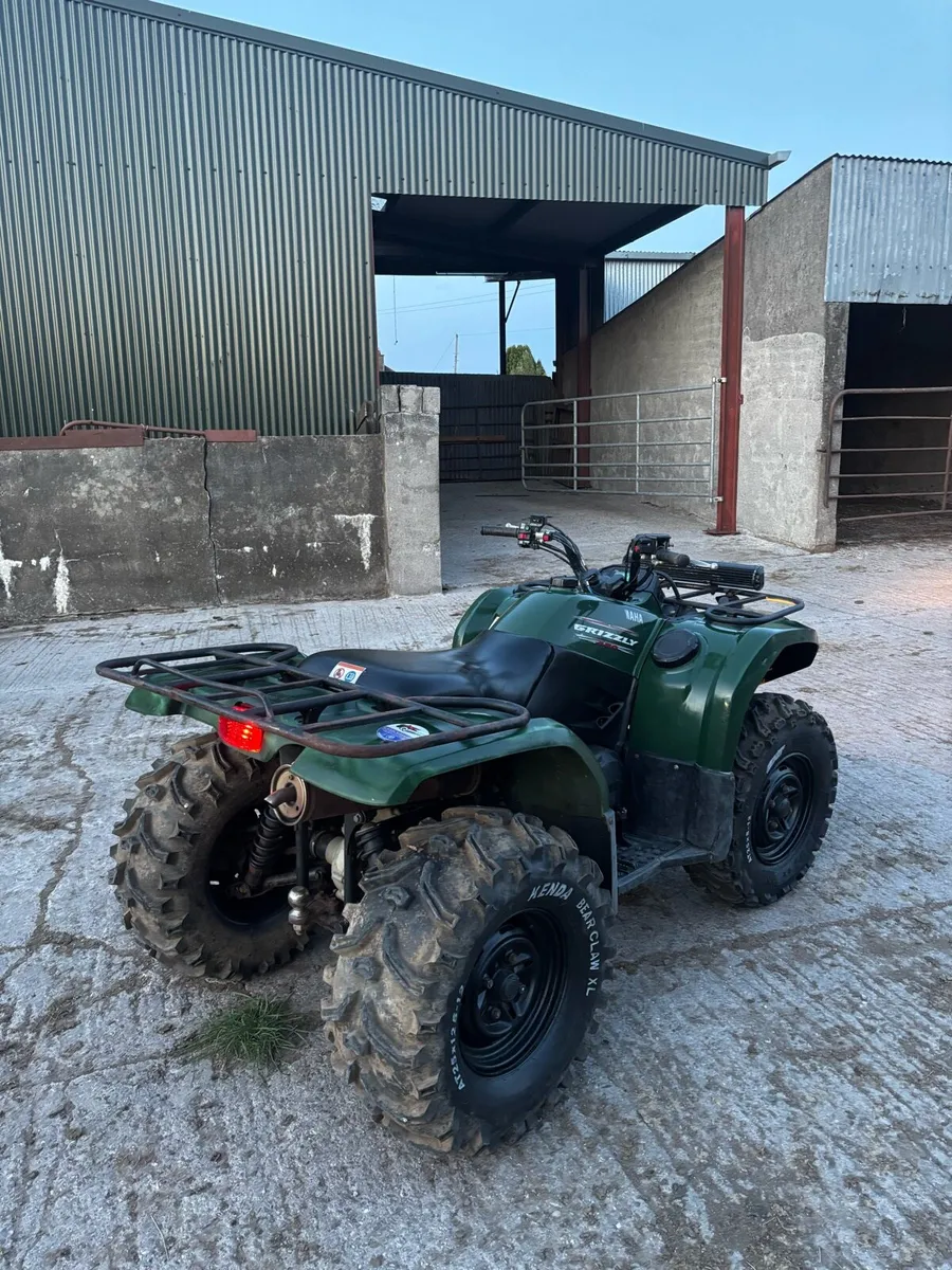 Grizzly 450 (need gone) - Image 4