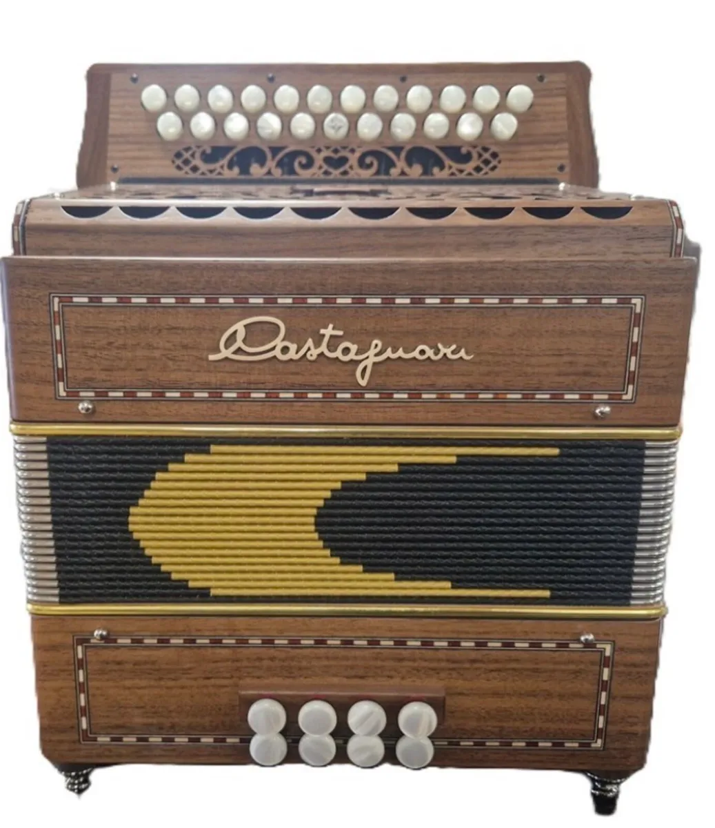Button accordion/ Tin whistle teacher