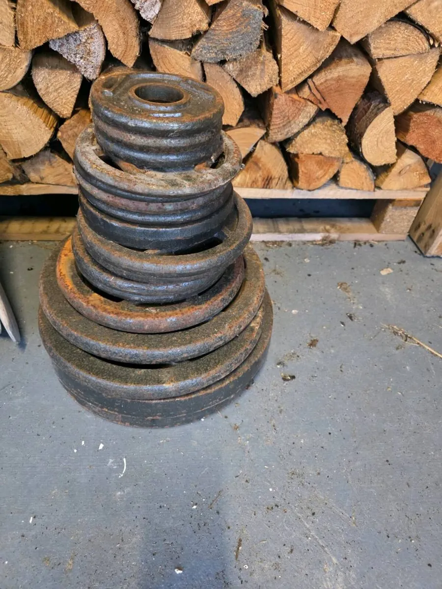 Olympic Weight Plates - Image 1
