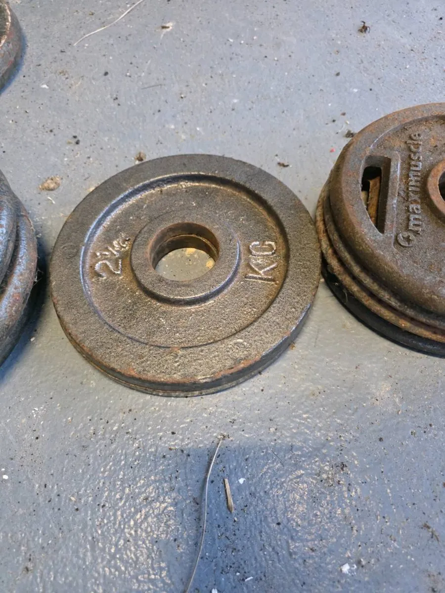 Olympic Weight Plates - Image 2