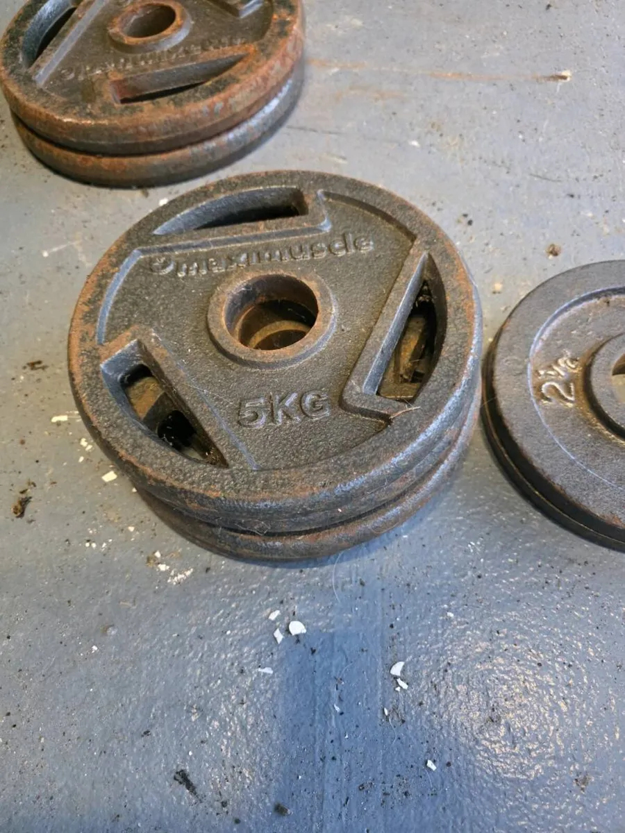 Olympic Weight Plates - Image 3