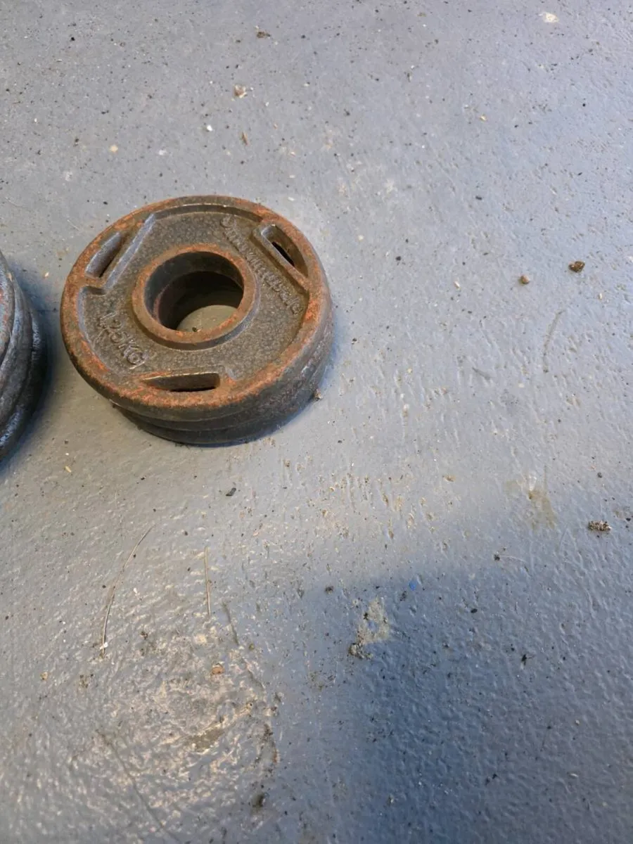 Olympic Weight Plates - Image 4