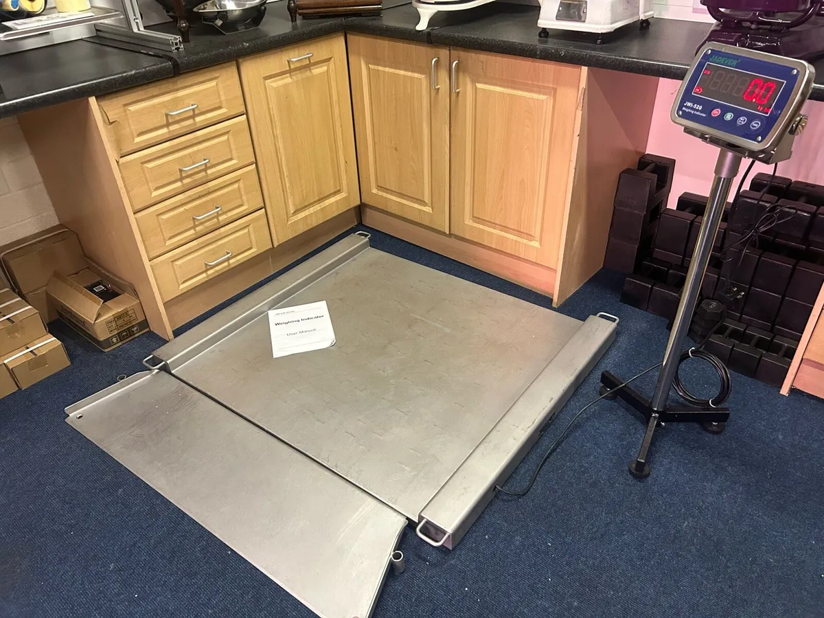 Weighing Scales 600 Kgs - Image 4