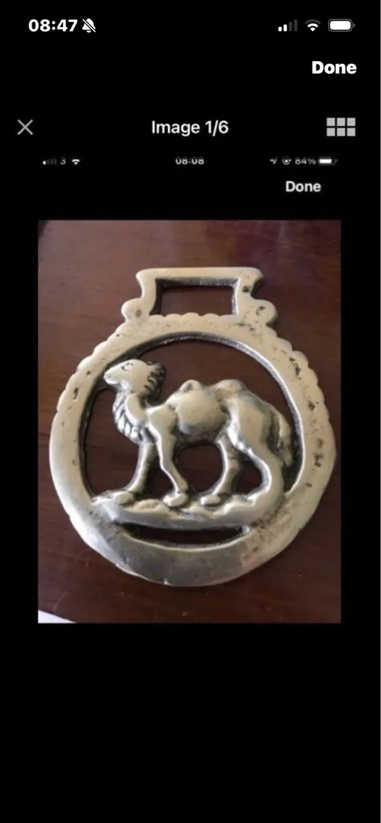 I rage Brass ‘Camel’ Bottle Opener - Image 1