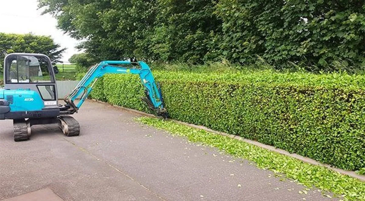 Hedge Cutting, landscaping, wood chipping, mulchin - Image 1