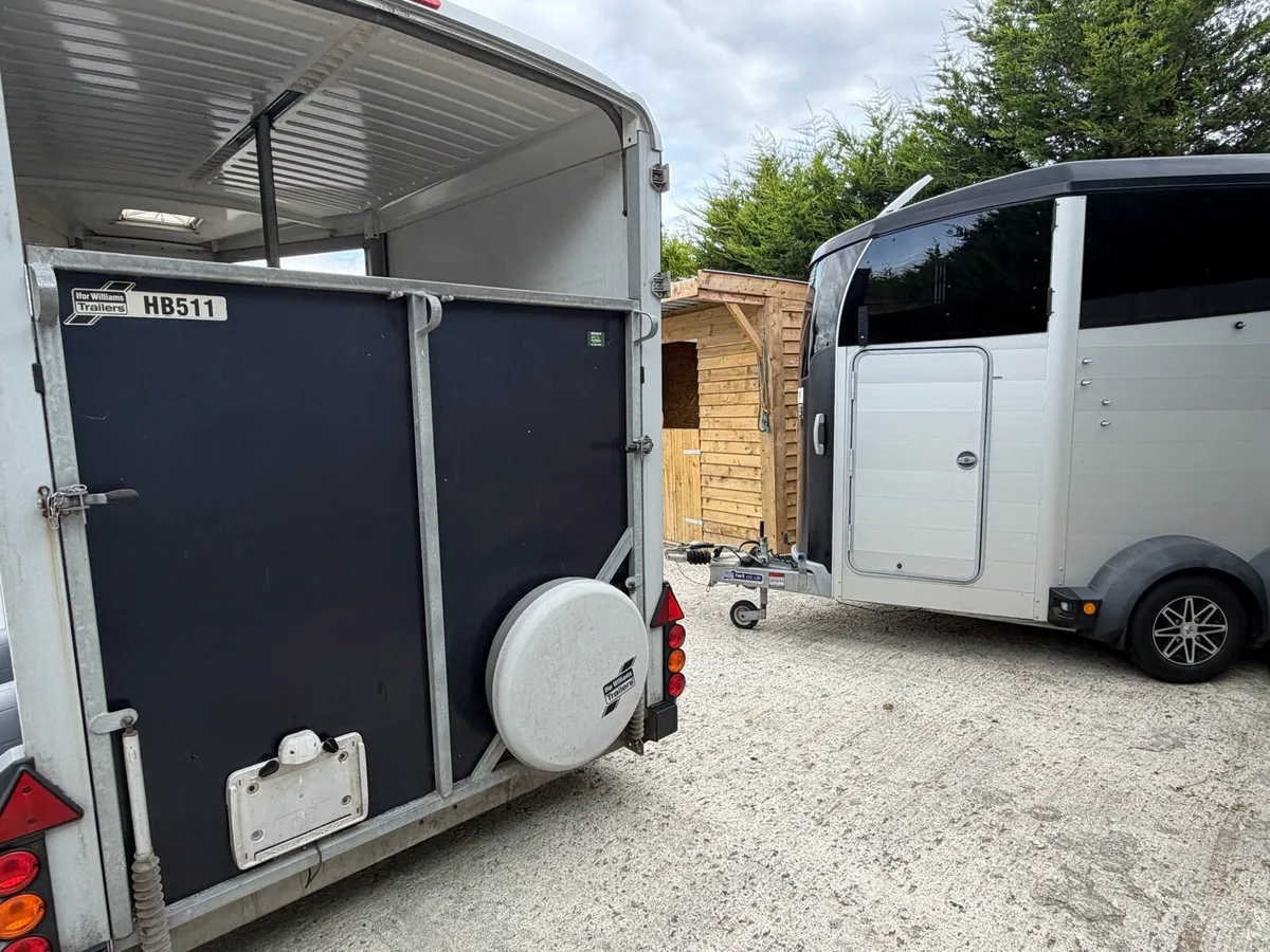 511 IforWilliams horse Trailer - Image 2
