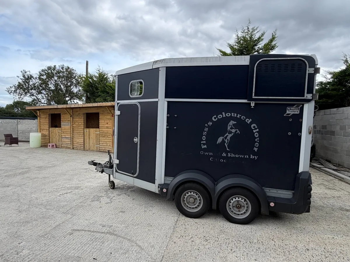 511 IforWilliams horse Trailer - Image 4