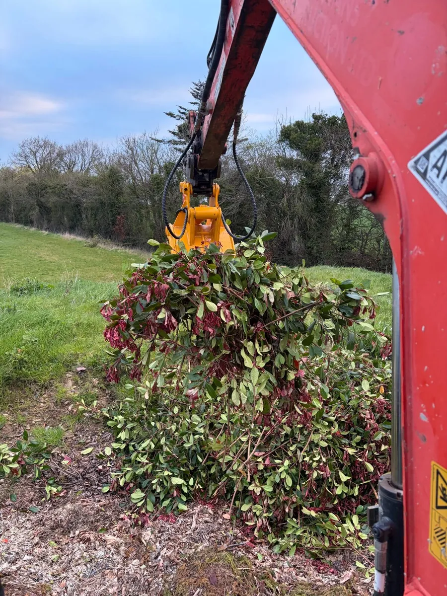 Hedge Cutting, landscaping, wood chipping, mulchin - Image 4