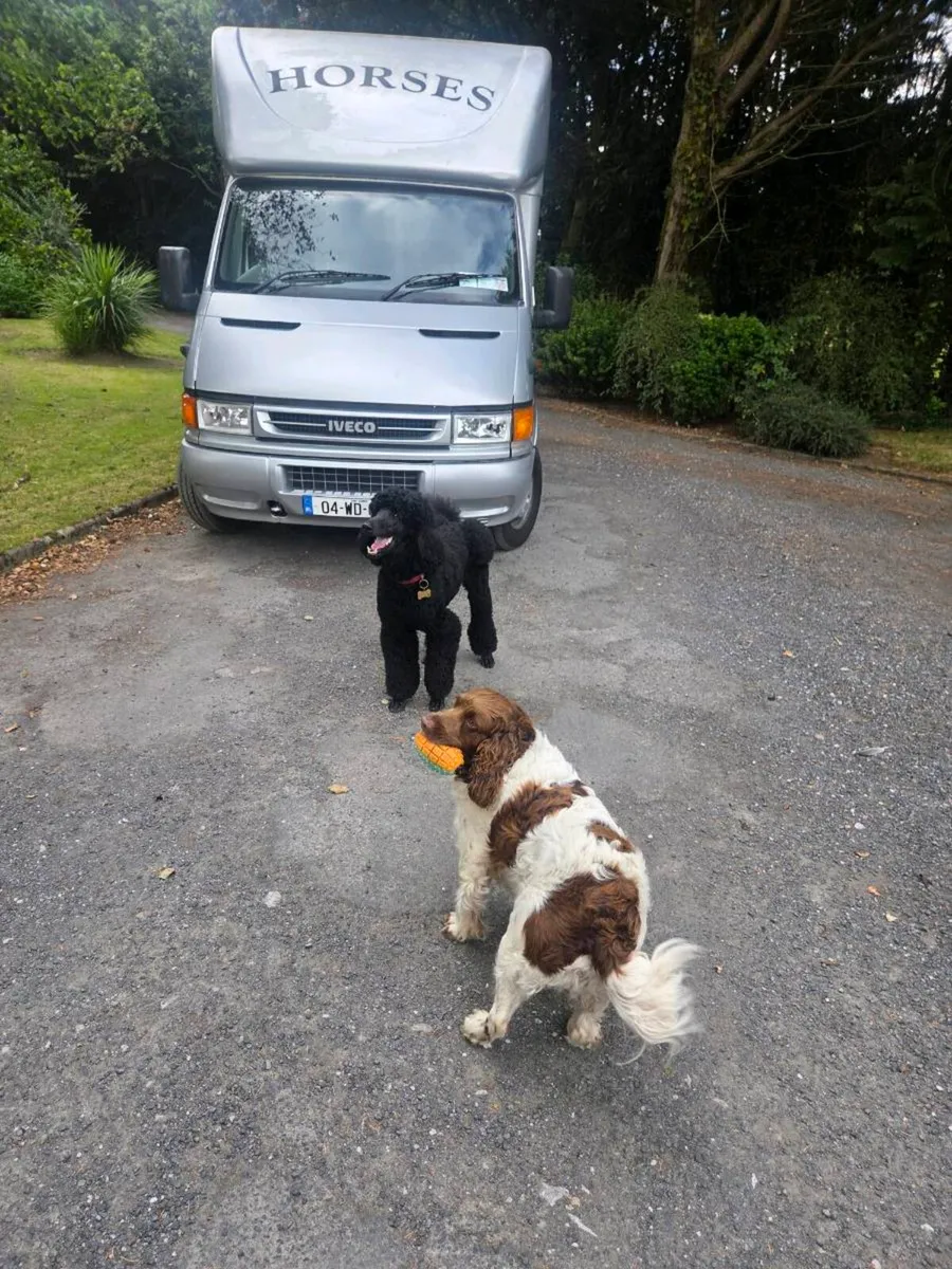 3.5 iveco 2 horse van - Image 2