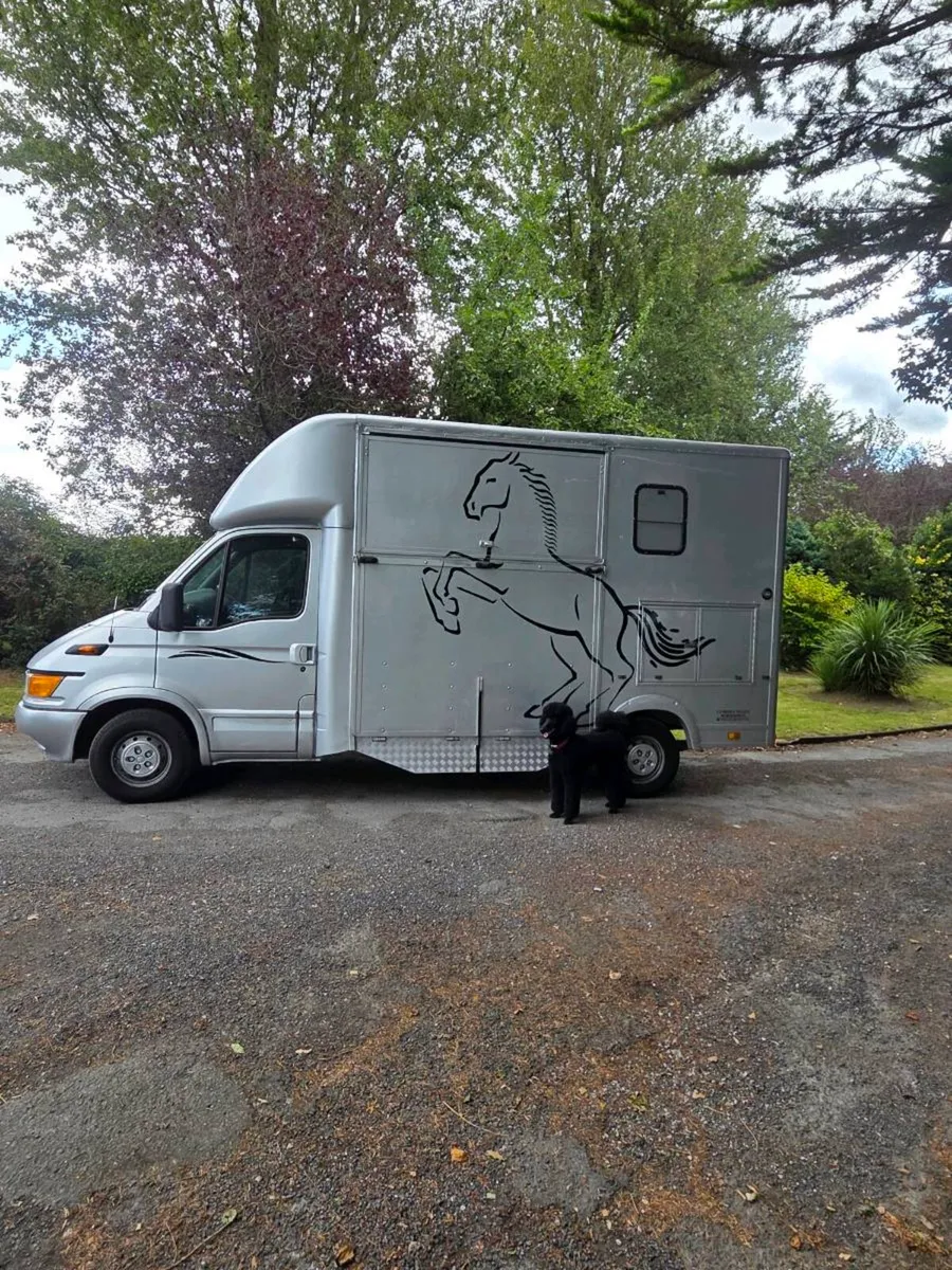 3.5 iveco 2 horse van - Image 4