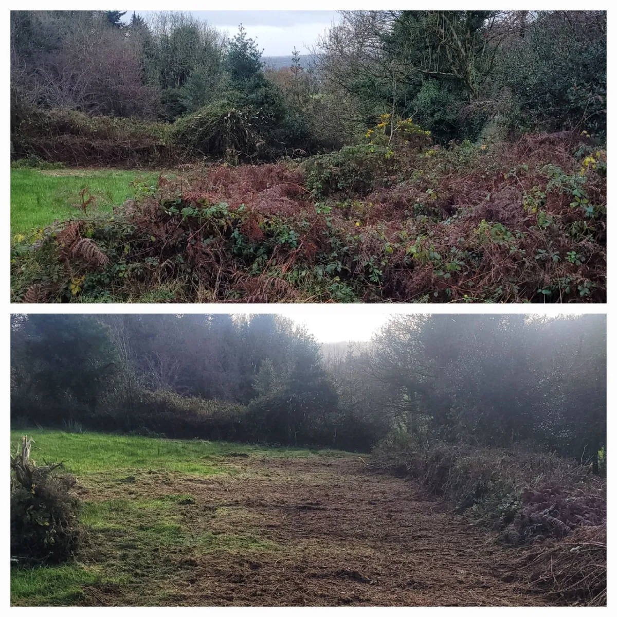 Mulcher - Image 2