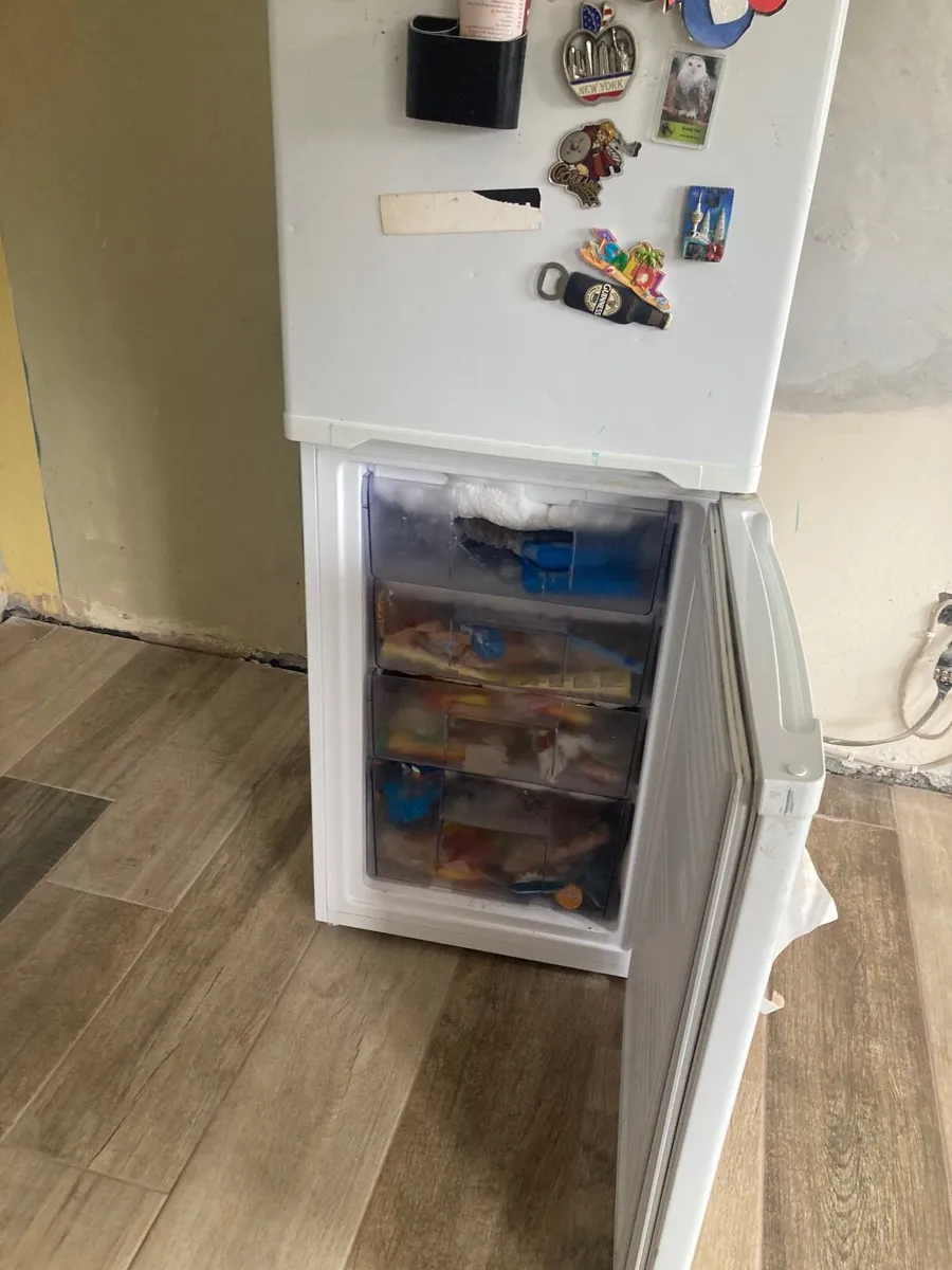 Fridge Freezer - Image 4