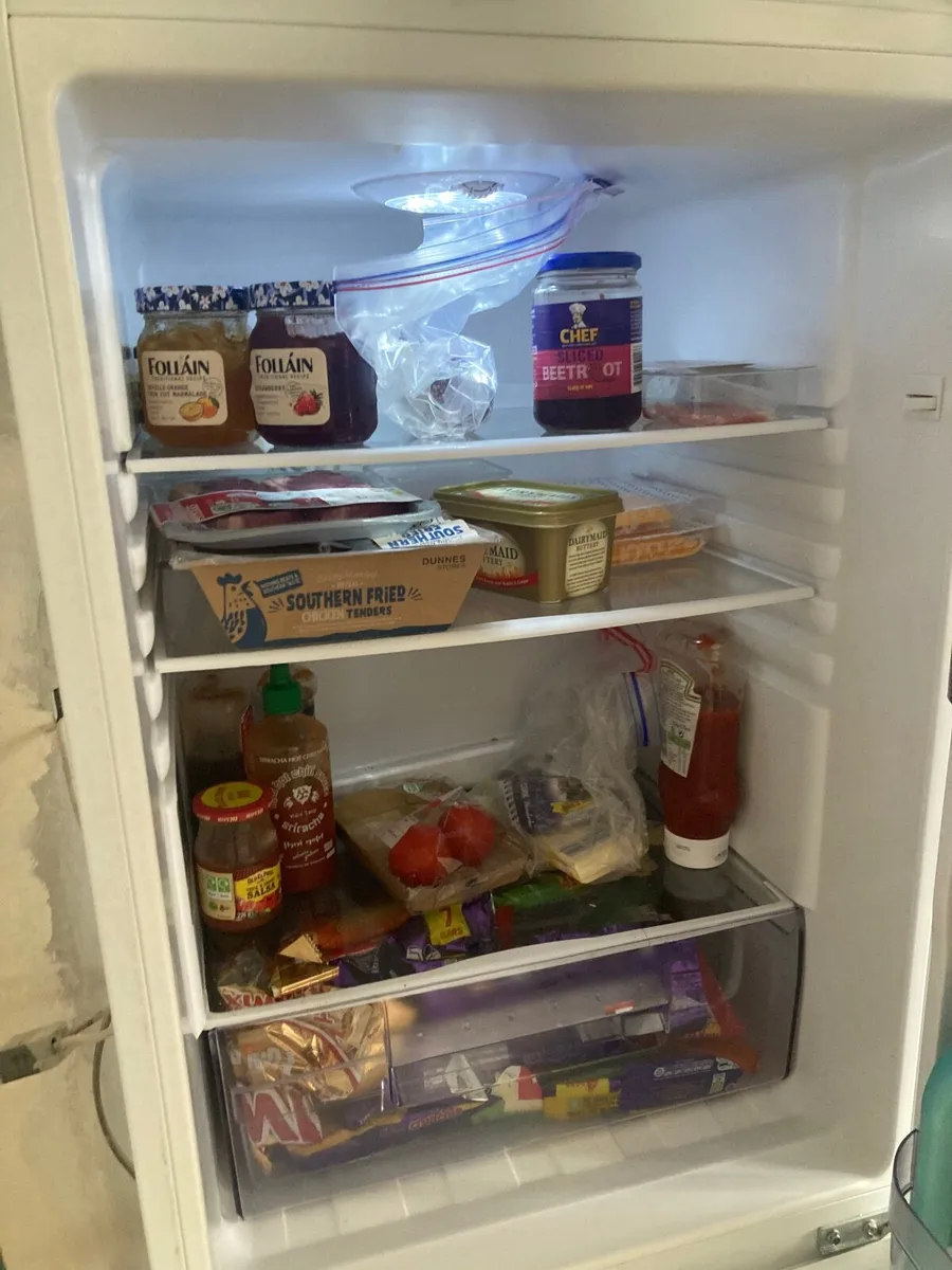 Fridge Freezer - Image 2