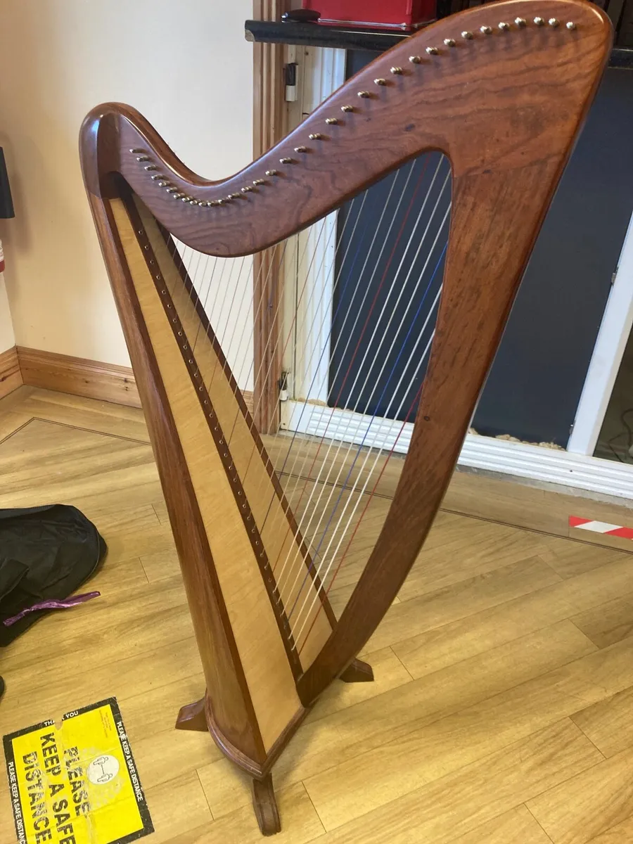 34 String Harp - Image 4