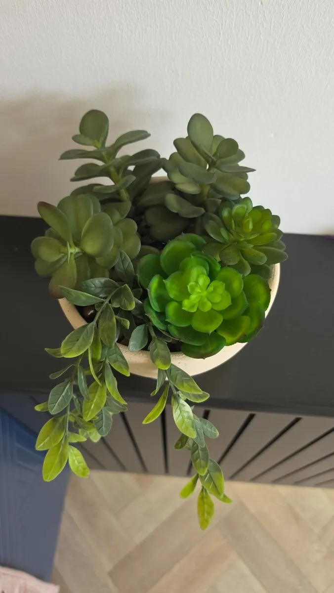 Artificial plant - Image 2
