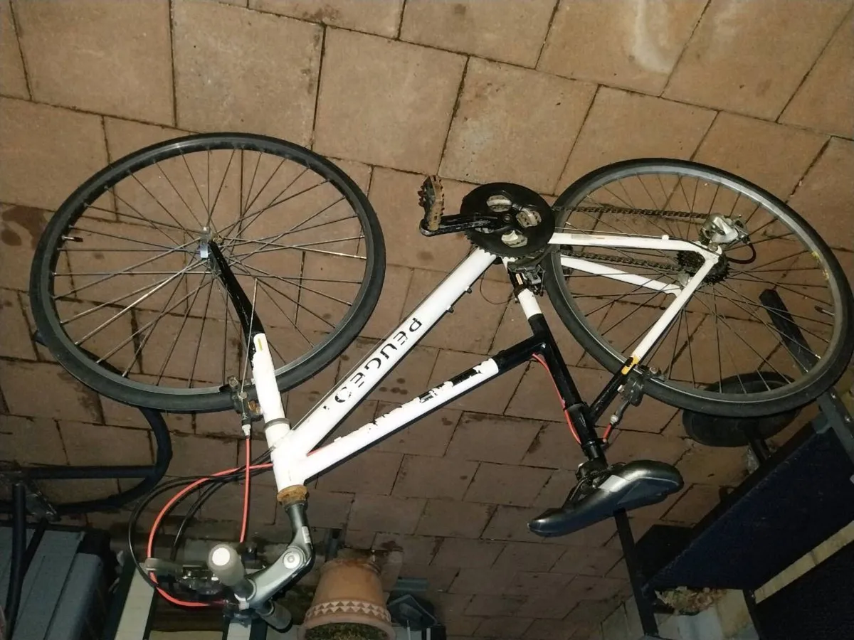 Hybrid bike rebuilt - Image 2