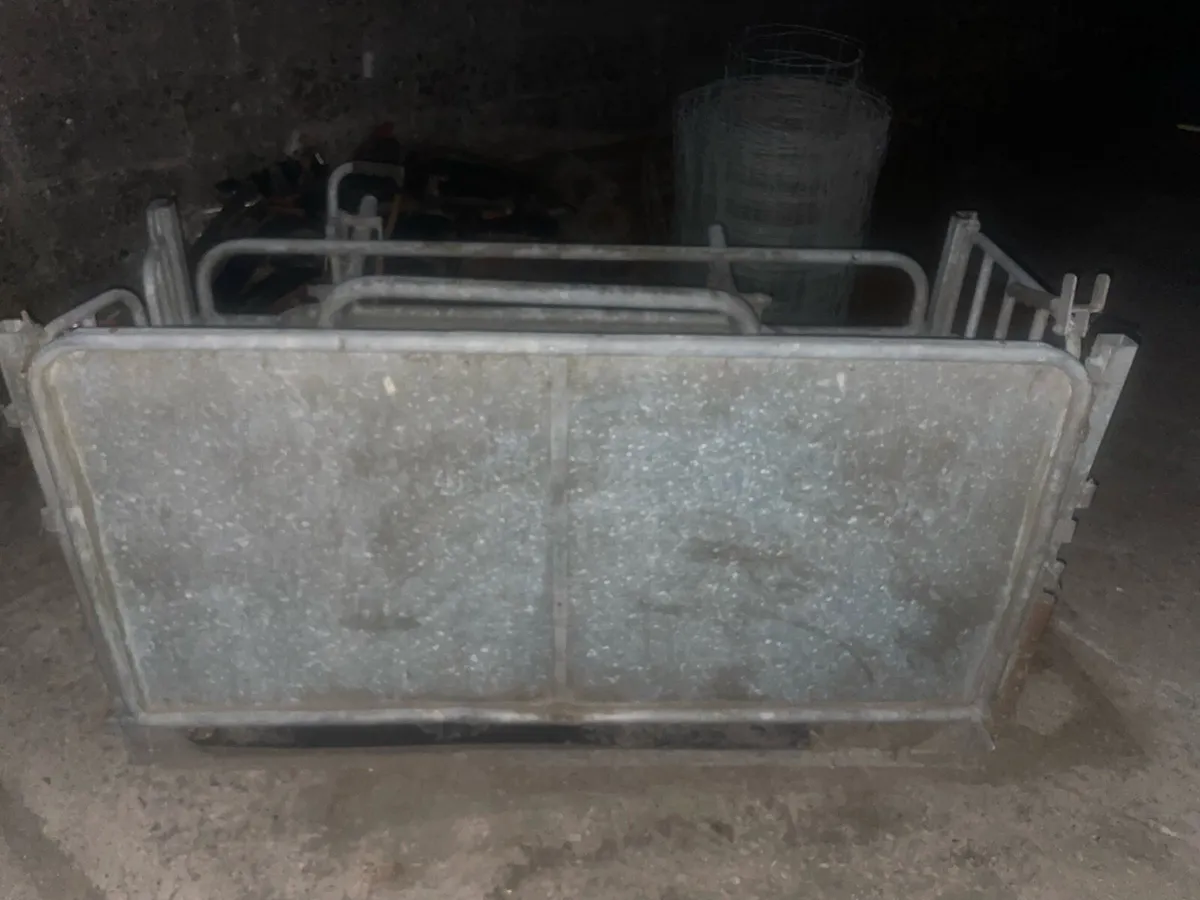 Sheep turnover crate - Image 2