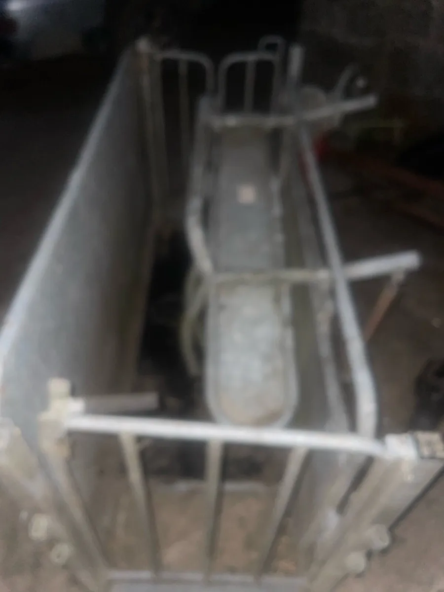 Sheep turnover crate - Image 3