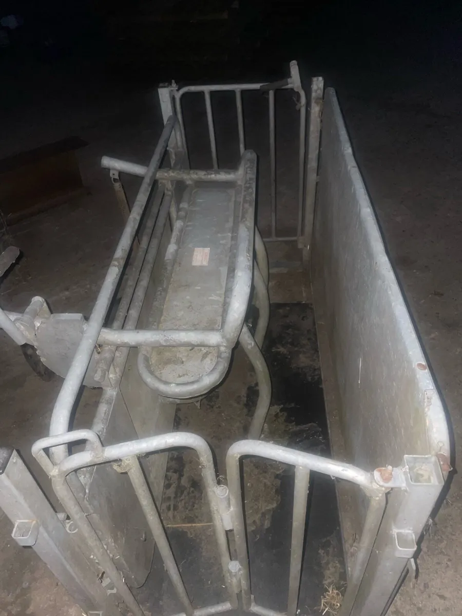 Sheep turnover crate - Image 1